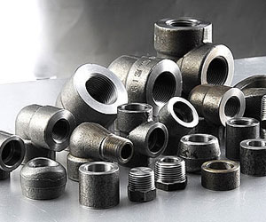 Carbon & Alloy Steel flanges