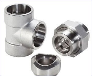 Titanium flanges