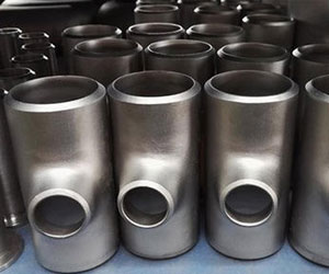 Titanium flanges